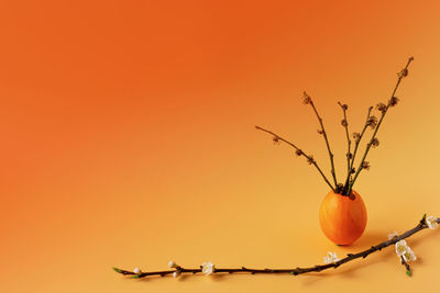 Close-up of orange fruits against sky during sunset