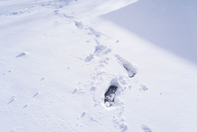 High angle view of snow covered field