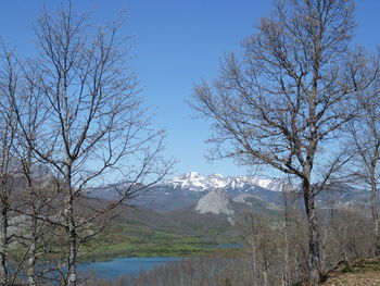 Scenic view of landscape and mountains against clear sky