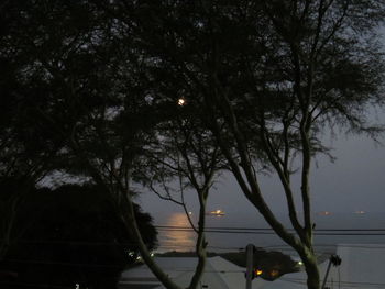 Trees by river against sky at night