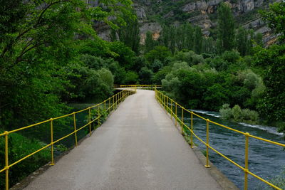 Footbridge over road amidst trees