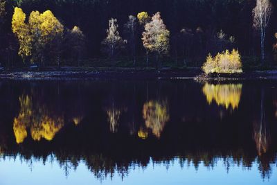 Reflection of trees in lake against sky