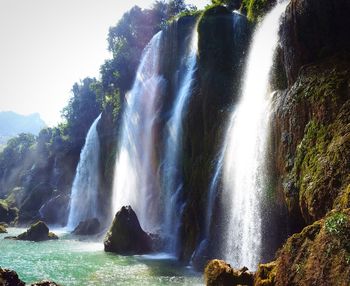 Low angle view of waterfall in forest