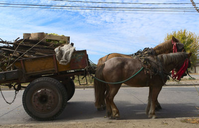 transportation