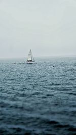 Sailboat sailing on sea against sky