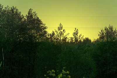 Silhouette of trees against sky at sunset