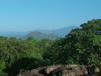 Scenic view of tree mountains against clear sky