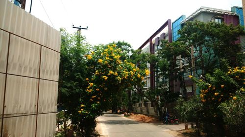 Narrow walkway along buildings