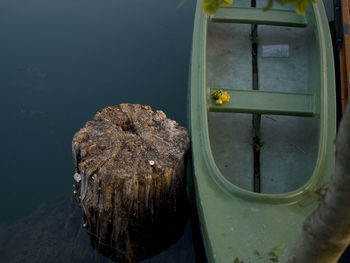 Close-up of turtle in boat