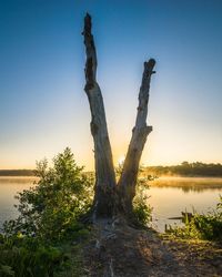 Dead tree by lake against sky during sunset