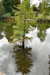 Reflection of trees in lake against sky