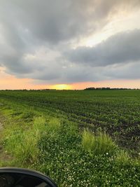 Scenic view of field against sky during sunset
