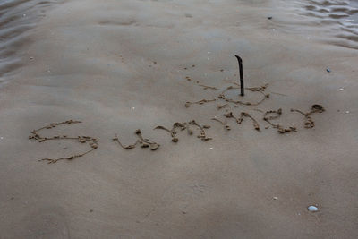 High angle view of text on sand at beach