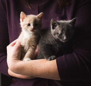 Close up of female holding two adorable kittens in her arms.