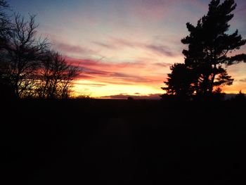 Silhouette of trees at sunset