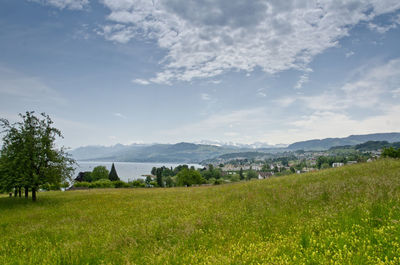 Scenic view of field against sky