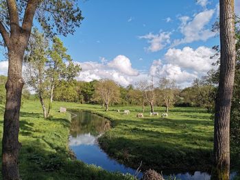 Panoramic view of lake against sky