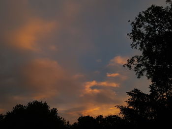 Low angle view of silhouette trees against sky during sunset