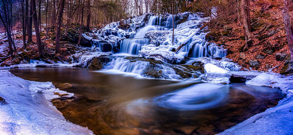 Scenic view of waterfall in forest