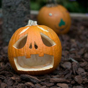 Close-up of pumpkin on stone wall during halloween