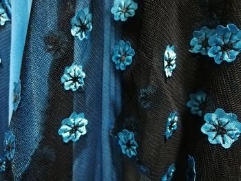 High angle view of blue flowers on hardwood floor