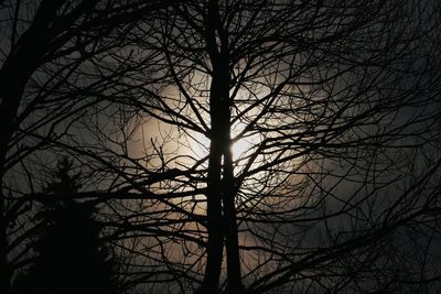 Silhouette bare tree against sky during sunset