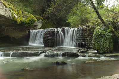 Scenic view of waterfall in forest