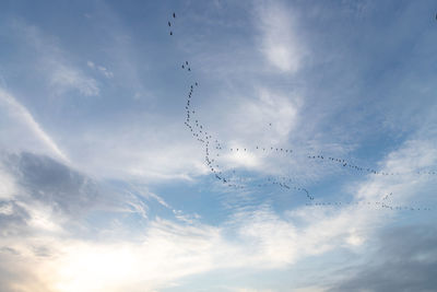 Low angle view of airplane flying in sky