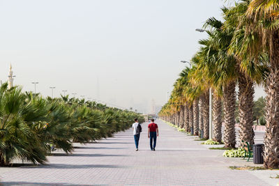 Rear view of people walking on footpath amidst trees against clear sky