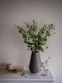 Close-up of potted plant on table at home