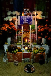 Flower pots on table