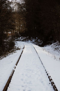 Scenic view of snow covered field