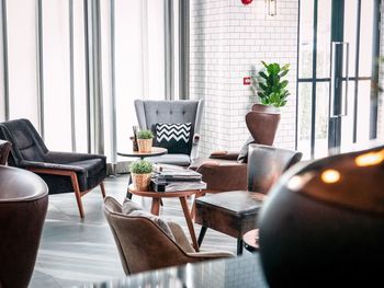 Potted plant on table by window in the lobby