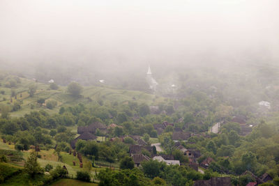 High angle view of trees and buildings