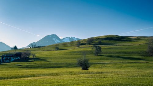 Scenic view of field against sky