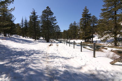 snow