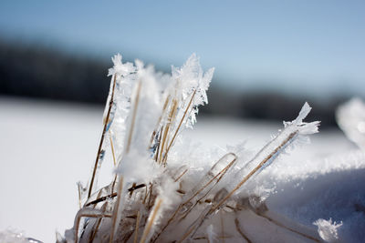Close-up of ice crystals