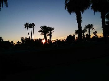 Silhouette palm trees against sky during sunset