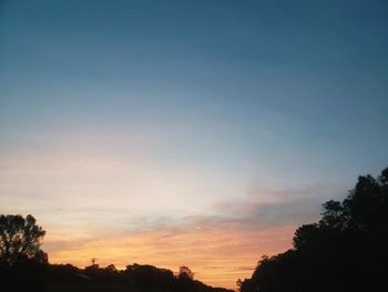 Low angle view of silhouette trees against sky during sunset