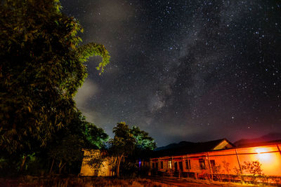 Low angle view of trees against sky at night
