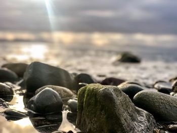 Close-up of pebbles on beach against sky