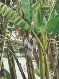 Close-up of bird perching on tree