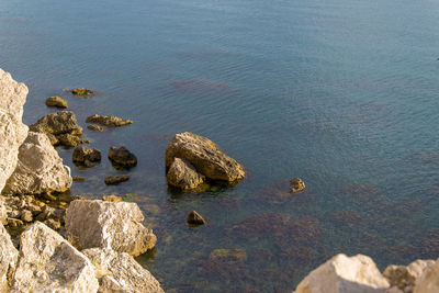 High angle view of rocks in sea