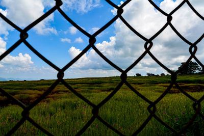 Landscape seen through chainlink fence