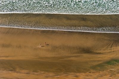 Birds on beach