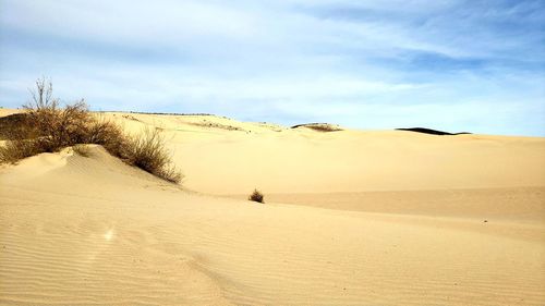 Scenic view of desert against sky