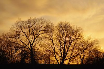 Silhouette of trees against sky at sunset