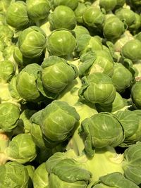 Full frame shot of  brussels sprouts 