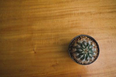 High angle view of bread on wooden table