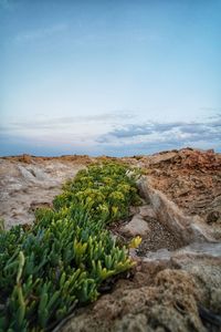 Scenic view of land against sky